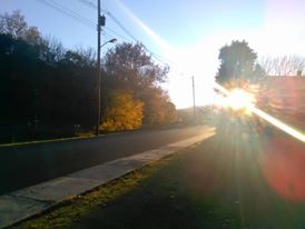 art, photo of sunburst on fall street